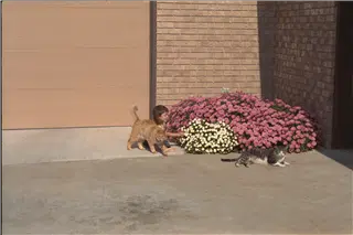 small_9400 1220 cew familyIMG0037.webp